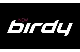 Birdy